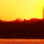 cropped-2083.jpg