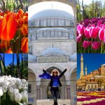 turvstambul